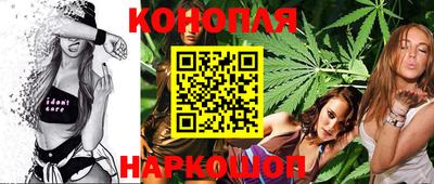 эйфоретик Кингисепп