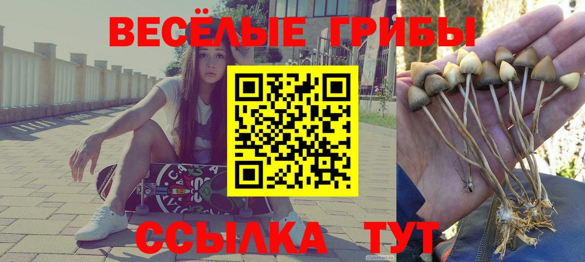 Галлюциногенные грибы MAGIC MUSHROOMS  Вход с VPN  Кузнецк 